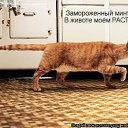 ���� �����, ������ �����, 50 ��� - ��������� 2 ������ 2009 � ������ ��������� ��������