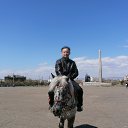 ���� ������, ������ - ��������� 1 ���� 2013 � ������ ���� ����������