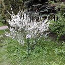 ���� Al, �����-���������, 56 ��� - ��������� 20 ���� 2010 � ������ �������