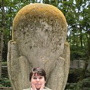 ���� ����, ��������, 54 ���� - ��������� 2 ������� 2010 � ������ ���� ����������