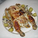  , -, 36  -  24  2010   