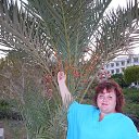 ���� ��������, �������, 50 ��� - ��������� 29 �������� 2012 � ������ ���� ����������