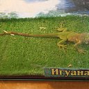 ���� �����, �������������, 25 ��� - ��������� 28 ���� 2013 � ������ �� �� ���������.�