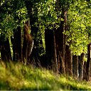 ���� Anna, ������, 62 ���� - ��������� 14 ��� 2012 � ������ ���� ��� ������