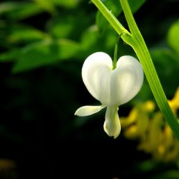 ���� �����, �����������, 48 ��� - ��������� 25 ��� 2012