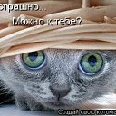 ���� �����, ������ �����, 50 ��� - ��������� 2 ������ 2009 � ������ ��������� ��������
