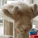 ���� ����� - ���������� ��������!!!, �����������, 56 ��� - ��������� 31 ������� 2009 � ������ �����Ȼ