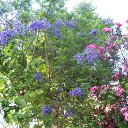 ����� � ������... �� ������� �������� � ������