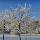 ���� Alex, �����-���������, 54 ���� - ��������� 9 ������ 2012 � ������ �������� ��� ���������...�