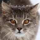   ( - !), , 59  -  5  2013     