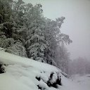 ���� �������, ������������, 37 ��� - ��������� 16 ������ 2011