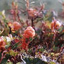  ,  -  23  2012    ߻