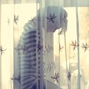 ���� Kyasarin, �������������, 26 ��� - ��������� 10 ������� 2012 � ������ ���� ����������