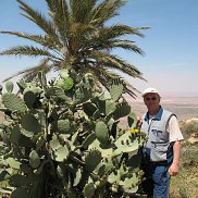 ������ ��������, 65 ���, �����������