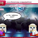 ���� �����, ���, 34 ���� - ��������� 27 ������ 2011 � ������ �PetLove�