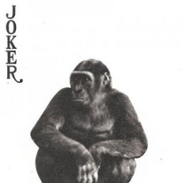 ���� ����, ������, 65 ��� - ��������� 11 ������ 2011