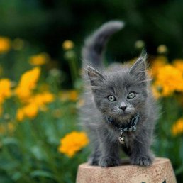 ���� �����, ����, 22 ���� - ��������� 22 ������ 2013