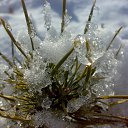 ���� ������, ���������, 43 ���� - ��������� 28 ���� 2013