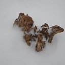 opus �28 �� ������� �������� � �����-�����, ������ �� �������!�