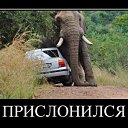 ���� �...�, �������, 49 ��� - ��������� 8 ������ 2012 � ������ �������