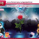 ���� �������, ������� - ��������� 26 ����� 2011 � ������ �PetLove�