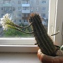 ���� �����, ������� - ��������� 18 ���� 2013 � ������ ���� ������ ����� ������!�