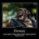 ���� Georg, �����������, 60 ��� - ��������� 9 �������� 2012 � ������ �������