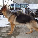 ���� �������, ����-���������, 72 ���� - ��������� 21 ������ 2012