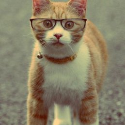 ���, ������, 31 ���