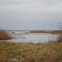 ������� ������ �� ������� ��������