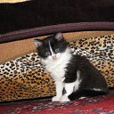 ���� Ludmila, ����, 66 ��� - ��������� 2 ������ 2011 � ������ ���� ����������