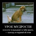 ���� ��������, ������, 42 ���� - ��������� 25 ������ 2013 � ������ ���� ����������