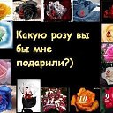 ���� �������, ���������, 34 ���� - ��������� 22 ���� 2010 � ������ ���������� ����������� :)�