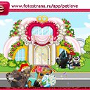 ���� ������, ������, 42 ���� - ��������� 22 ������ 2011 � ������ �PetLove�