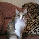 ���� Senorita, ������, 33 ���� - ��������� 16 ����� 2010 � ������ �������