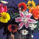 ���� �������, ����, 40 ��� - ��������� 7 ���� 2010 � ������ ������ ��� ��� )))�