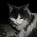 ��� �������. �� ������� ���� �������� ���.�