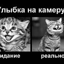  ,  -  28  2013   ))))))))))))))))))))))))