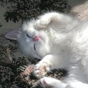 ������ �� ������� ���������