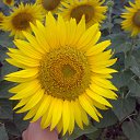 ���� �����, ������, 57 ��� - ��������� 27 ������� 2010 � ������ �������