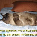 ���� ����, ������, 41 ��� - ��������� 16 ������� 2012