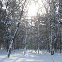 ������ ���� ����-��������� �� ������� ���������