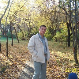 ���������, ���������, 43 ����