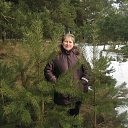  , , 68  -  12  2013   8 .