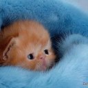 ���� ��������, ���� - ��������� 2 ������ 2013 � ������ ���� ����������