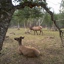 ���� �������, ���������, 46 ��� - ��������� 12 ������� 2012 � ������ �������