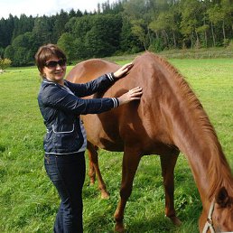 ���� ������, ��������� - ��������� 4 ����� 2013