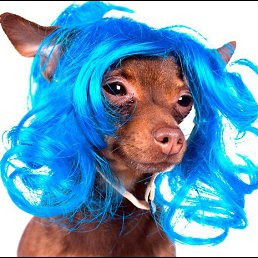 ���� �., �����, 45 ���