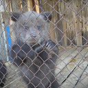 ���� ������, ���������, 65 ��� - ��������� 8 ������ 2012 � ������ ���� ���λ