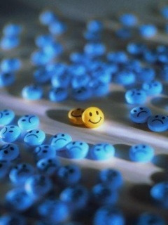 ���� ����, ����, 45 ��� - ��������� 17 ������ 2012